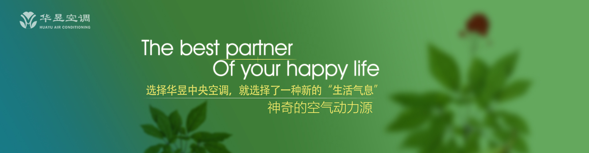 急起直追网